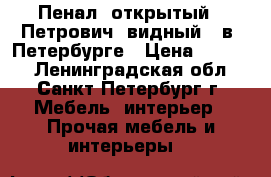 Пенал  открытый  “Петрович--видный“  в  Петербурге › Цена ­ 1 600 - Ленинградская обл., Санкт-Петербург г. Мебель, интерьер » Прочая мебель и интерьеры   